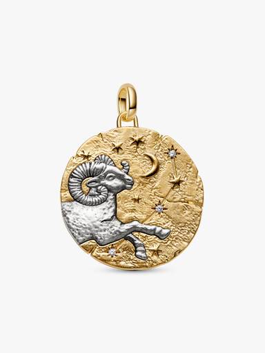 Charm Medallion XL Ariete "Acta Non Verba"