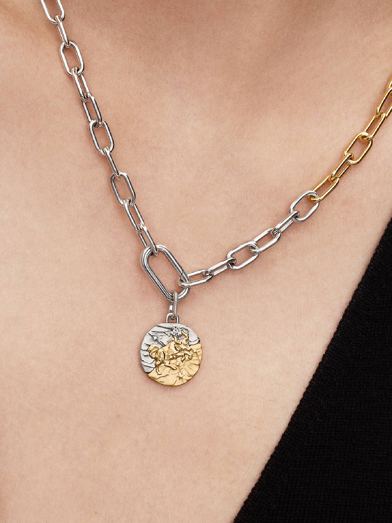 Charm Medallion Toro