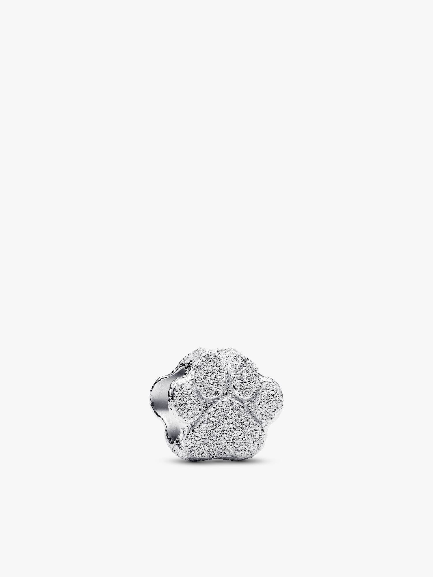 Mini Charm Zampa effetto diamantato
