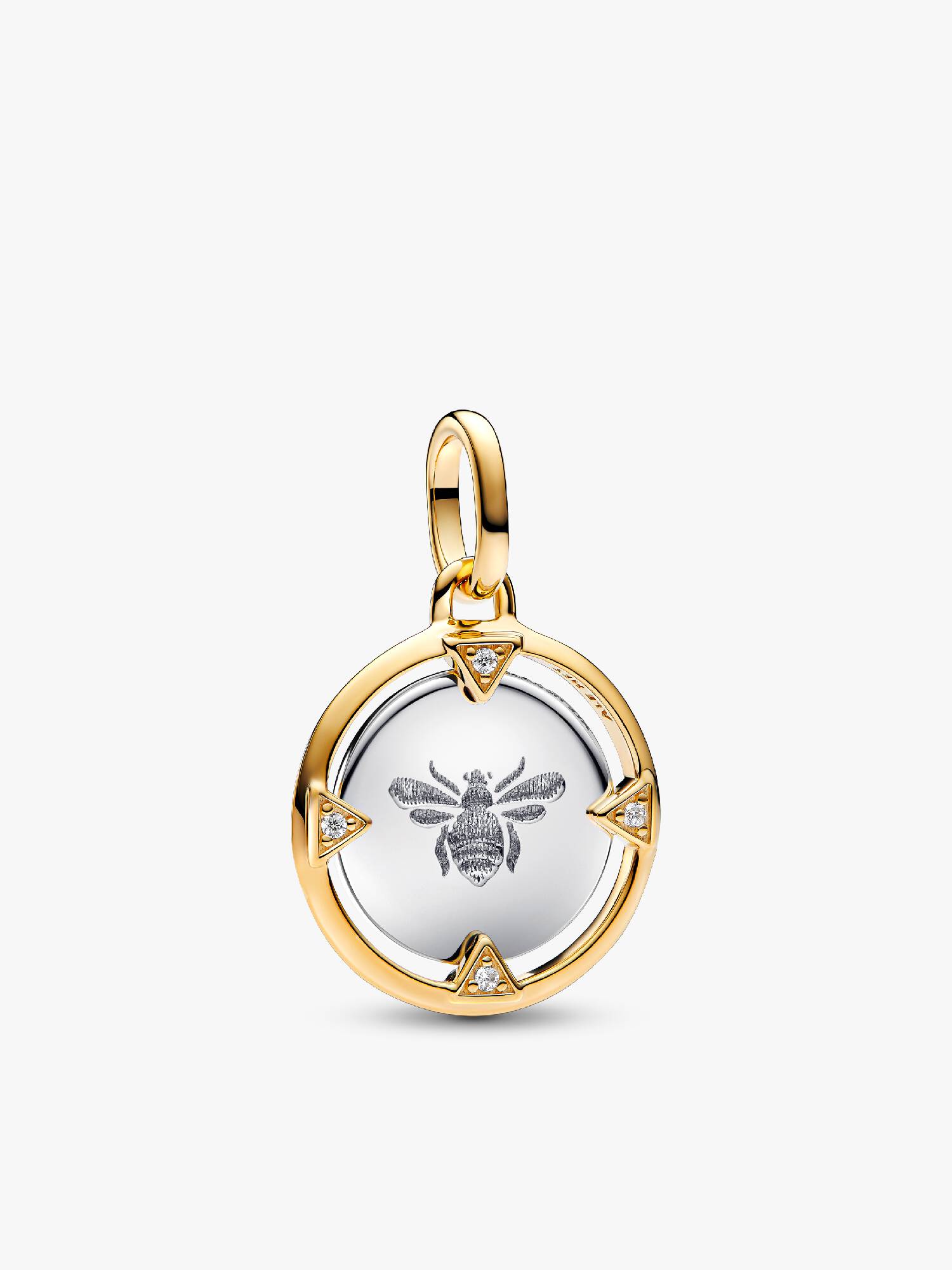 Charm Medallion Ape Pandora ME