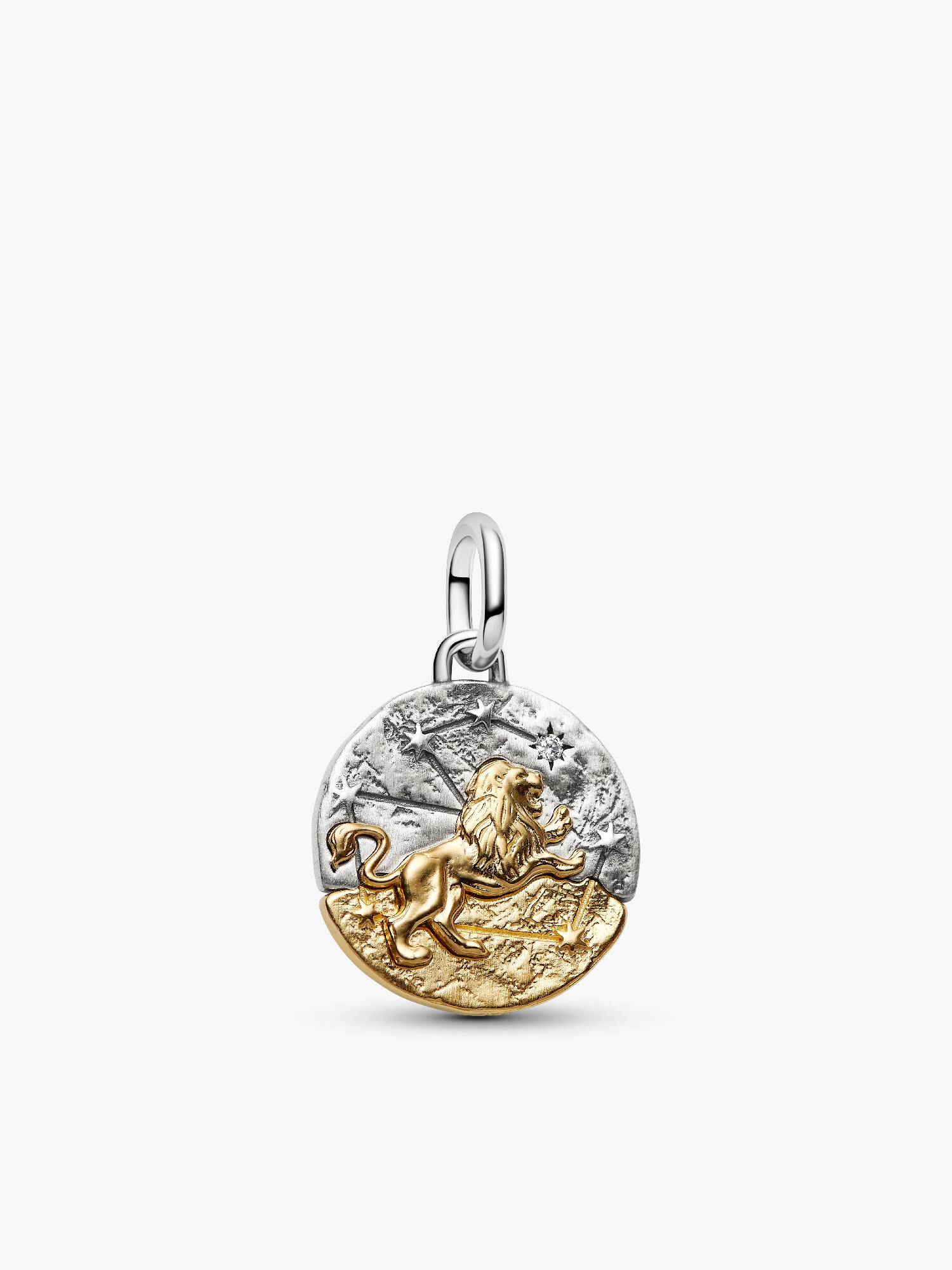 Charm Medallion Leone