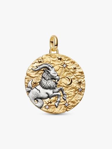 Charm Medallion XL Capricorno "Nihil Difficile Volenti"