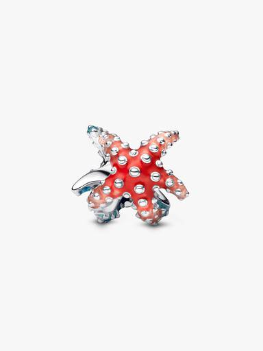 Charm Stella Marina Colorata