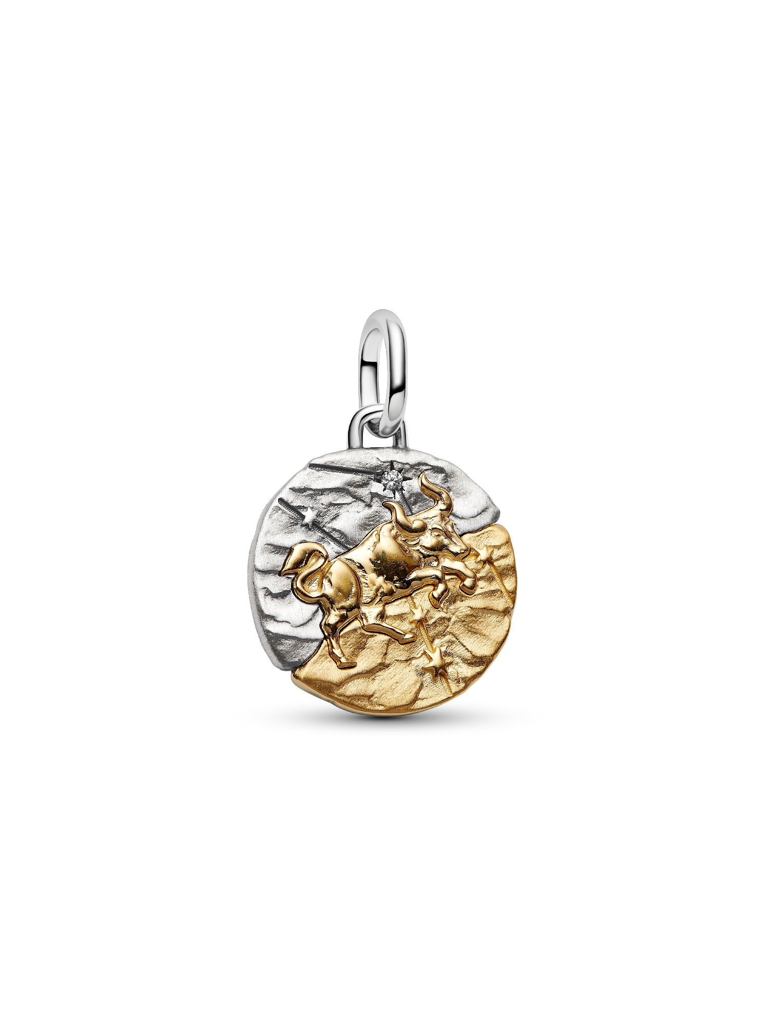 Charm Medallion Toro