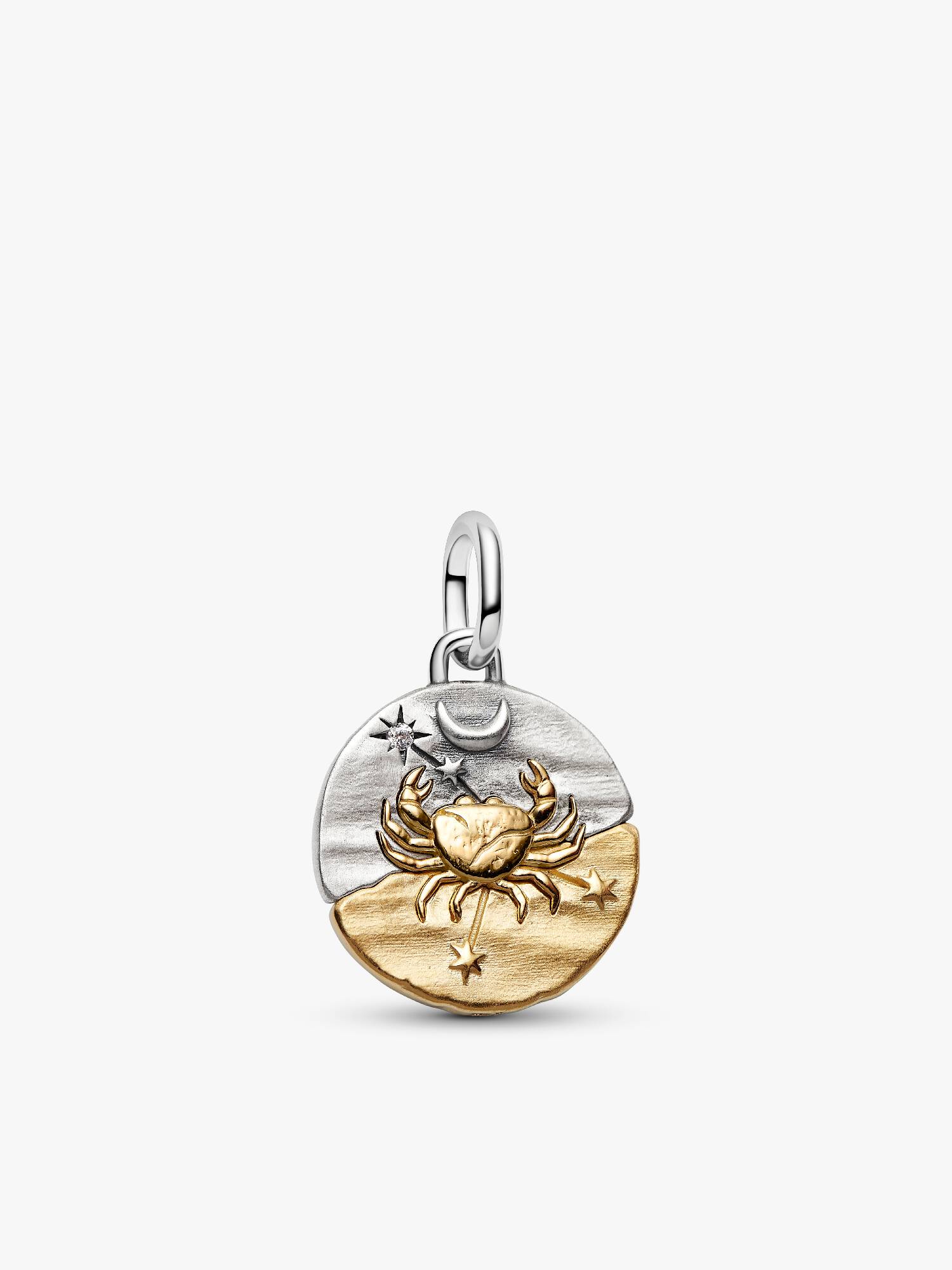 Charm Medallion Cancro