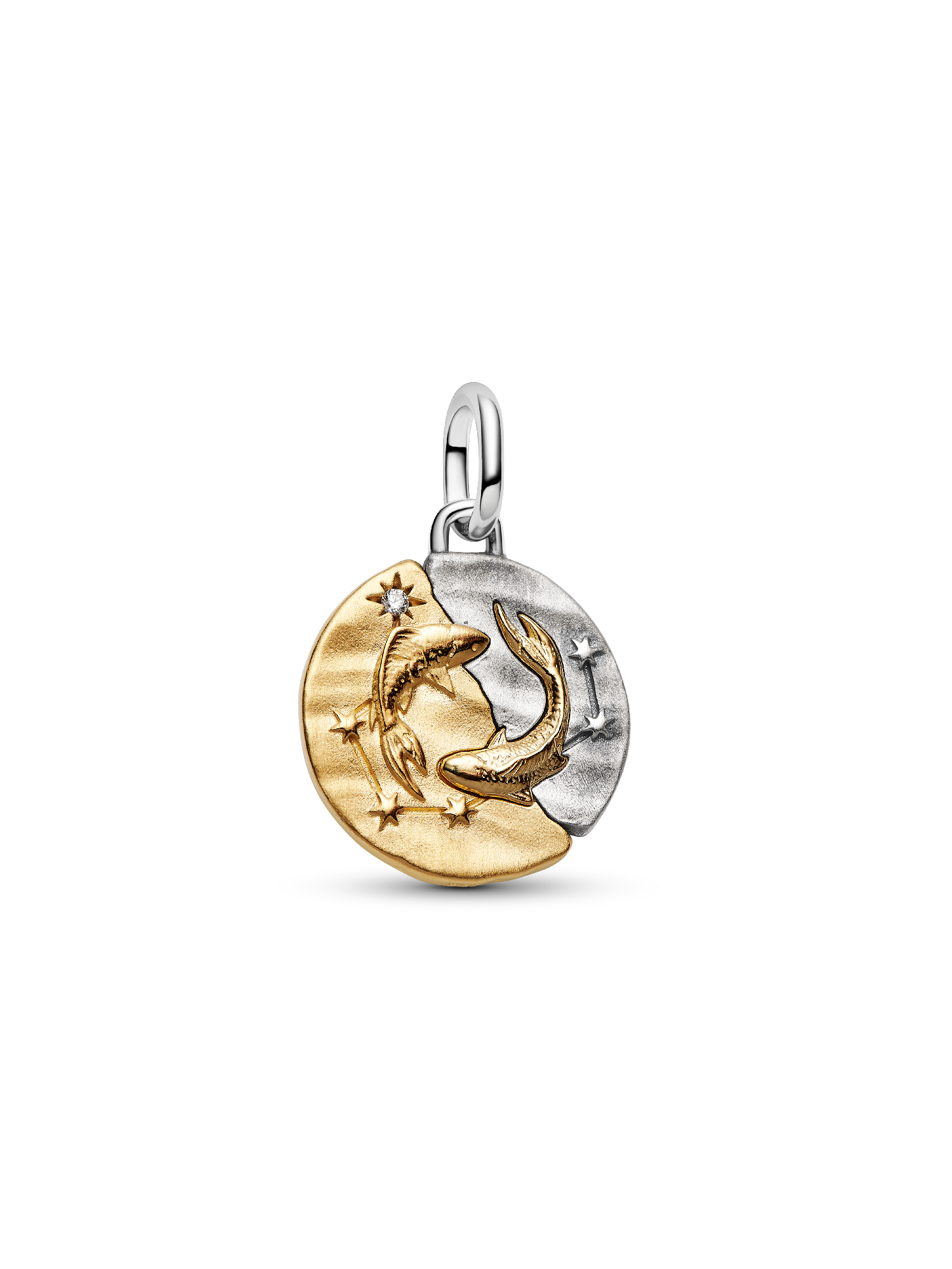 Charm Medallion Pesci