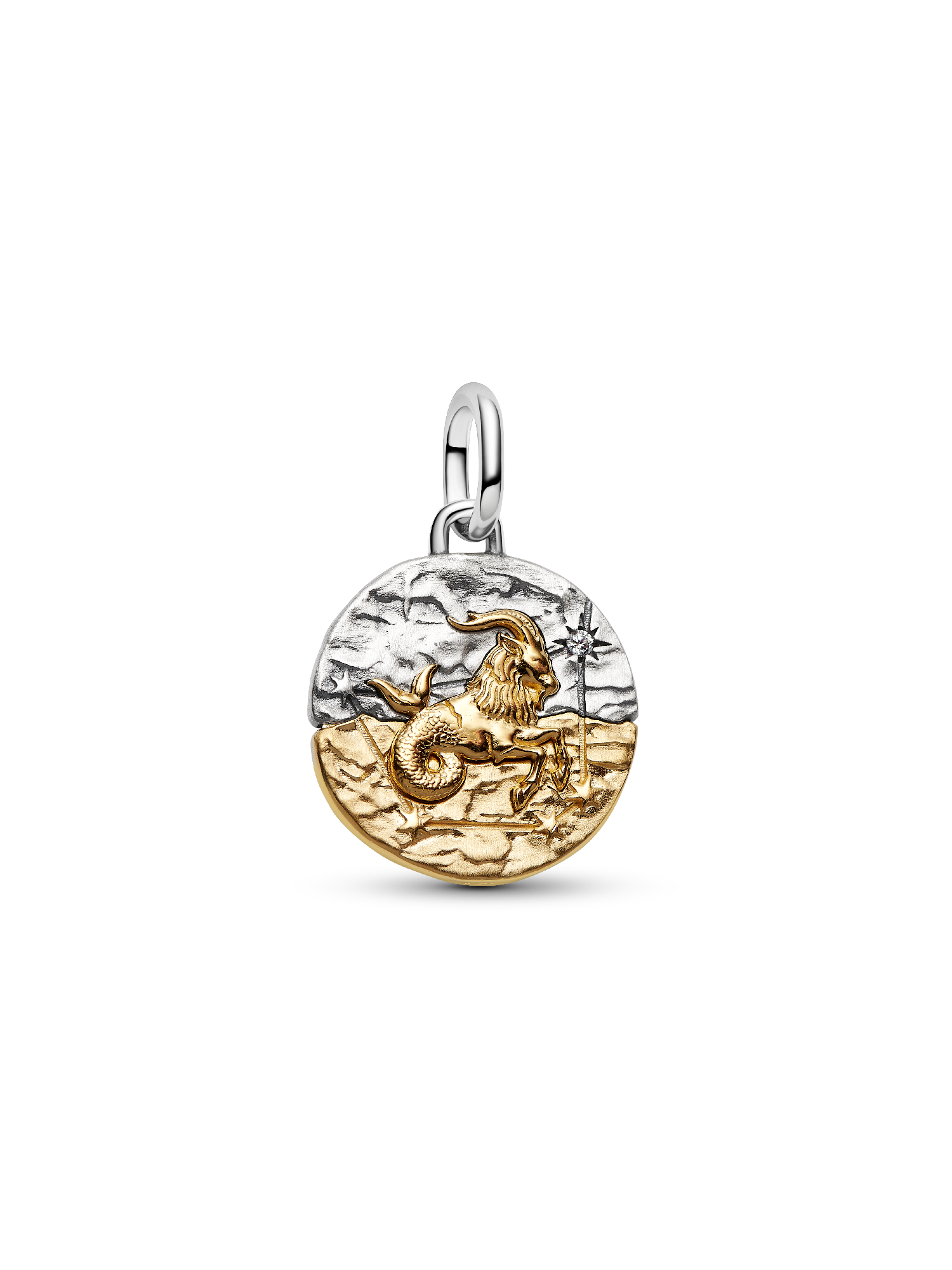 Charm Medallion Capricorno