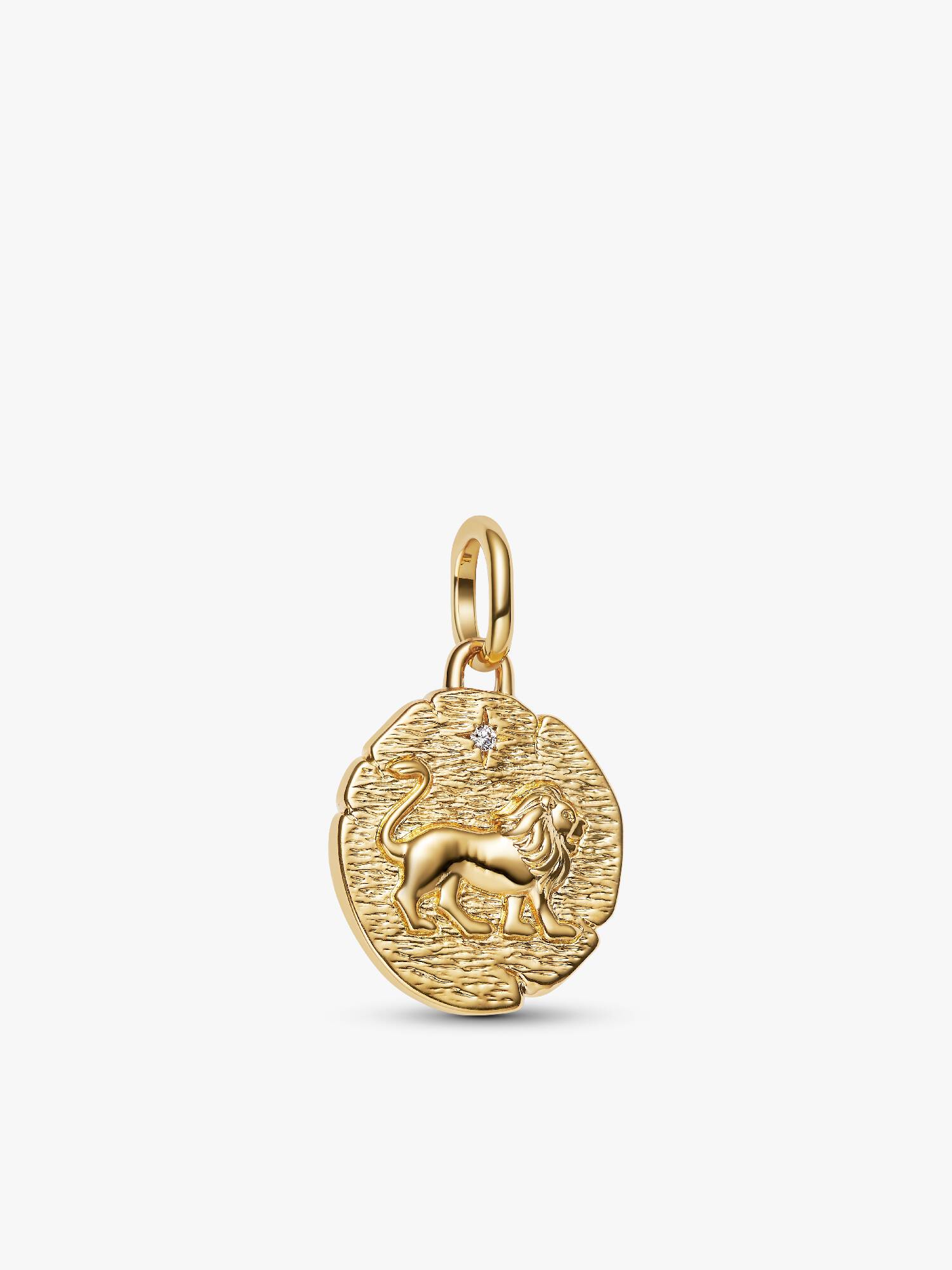 Charm Medallion Leone "Vita Veritas Virtus"