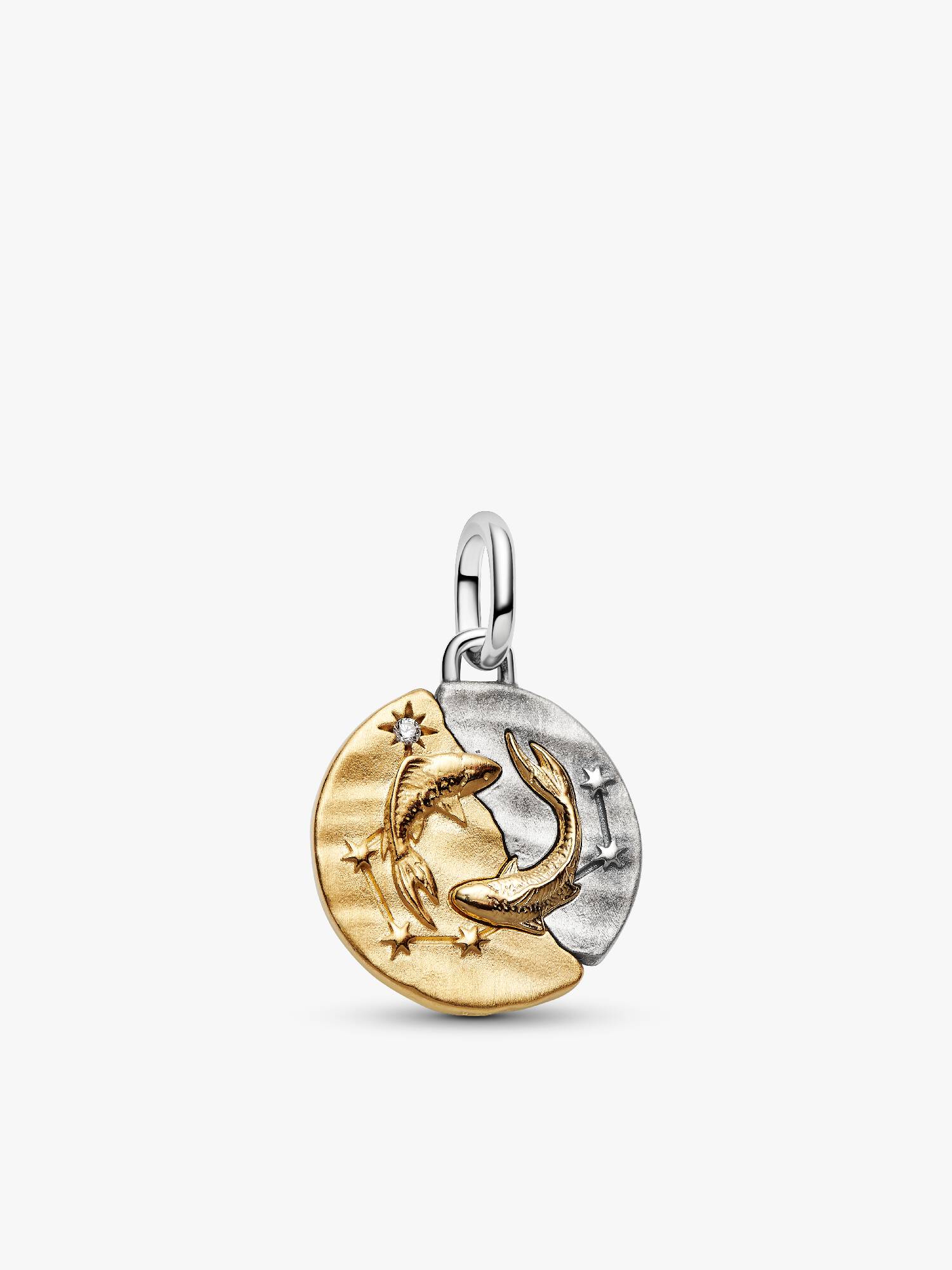 Charm Medallion Pesci
