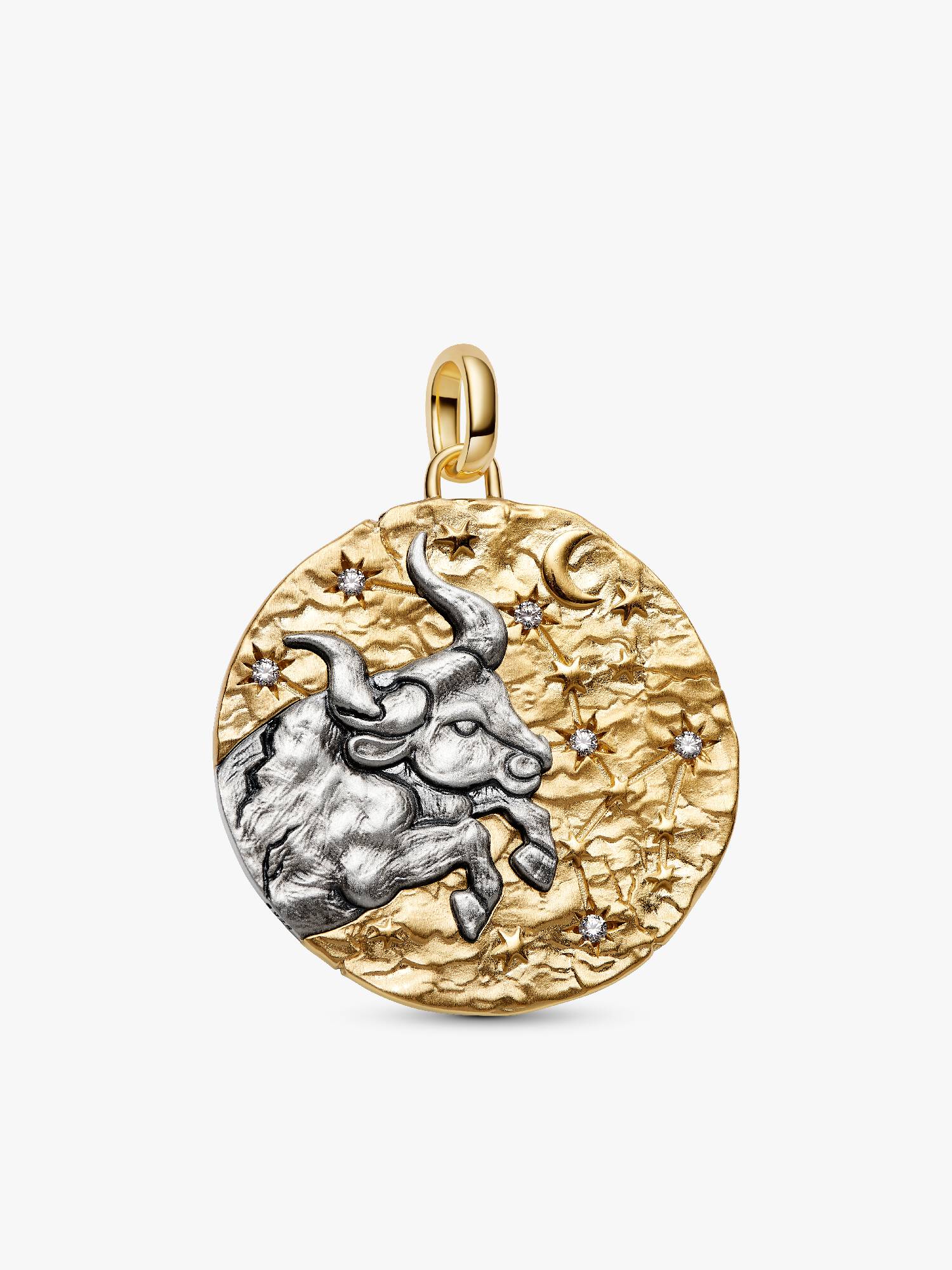 Charm Medallion XL Toro "Fortitudo Animi"