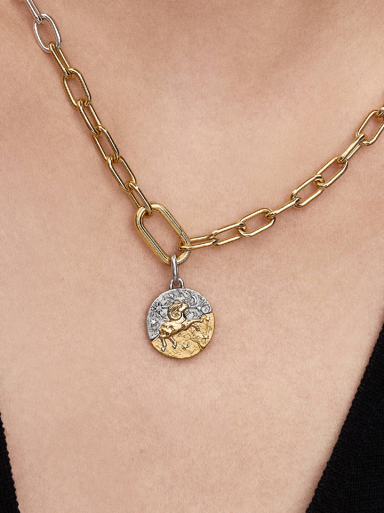 Charm Medallion Ariete