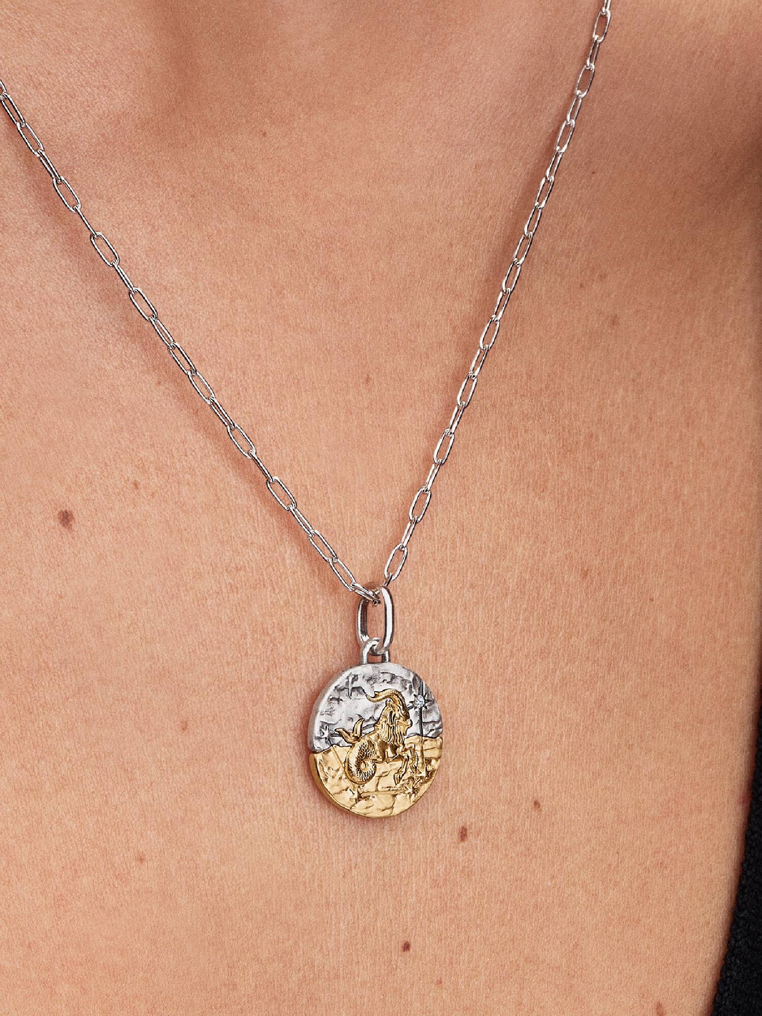 Charm Medallion Capricorno