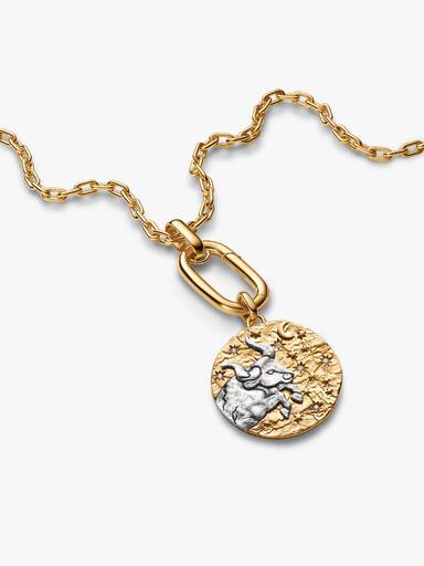 Charm Medallion XL Toro "Fortitudo Animi"