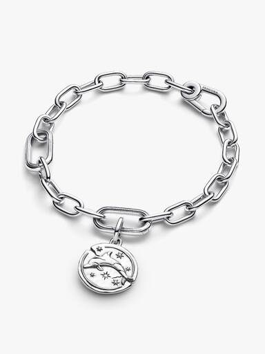 Charm Medallion Delfino "Audaces Fortuna Iuvat"