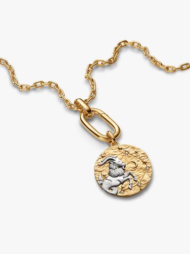 Charm Medallion XL Capricorno "Nihil Difficile Volenti"