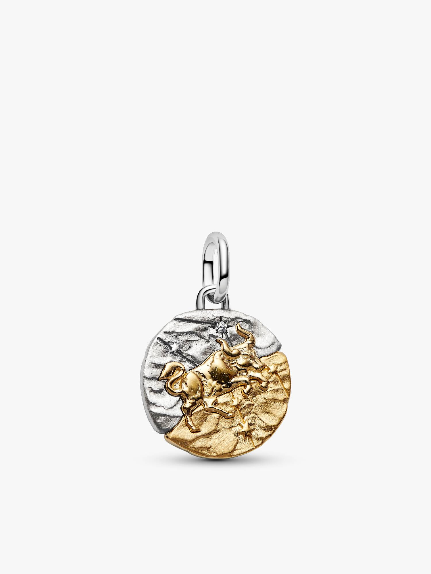 Charm Medallion Toro