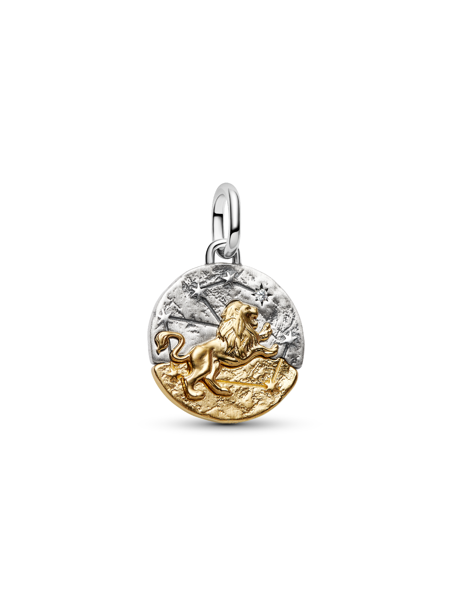 Charm Medallion Leone