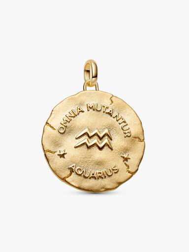 Charm Medallion XL Acquario "Omnia Mutantur"