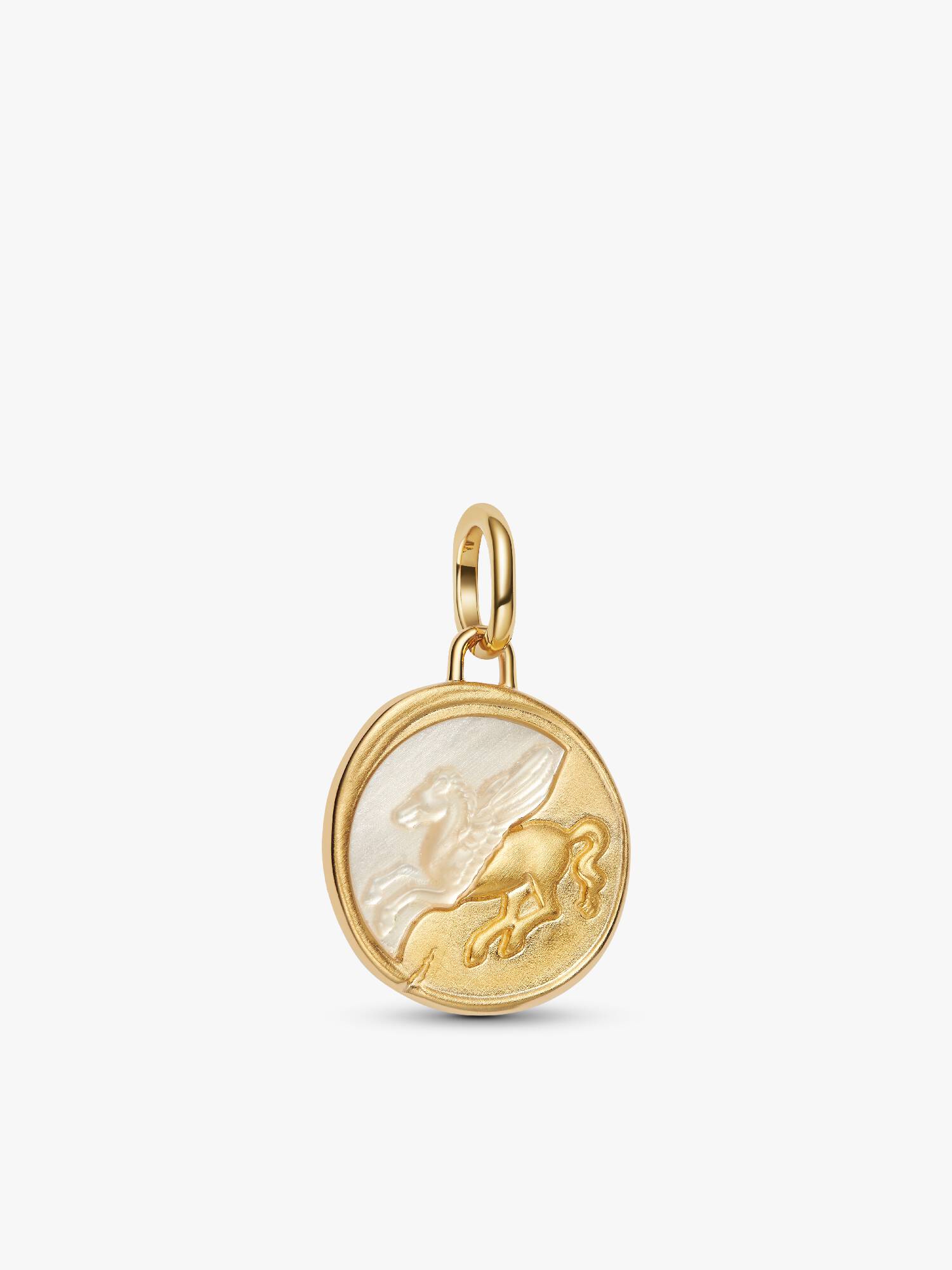 Charm Medallion Pegaso "Ex Animo"