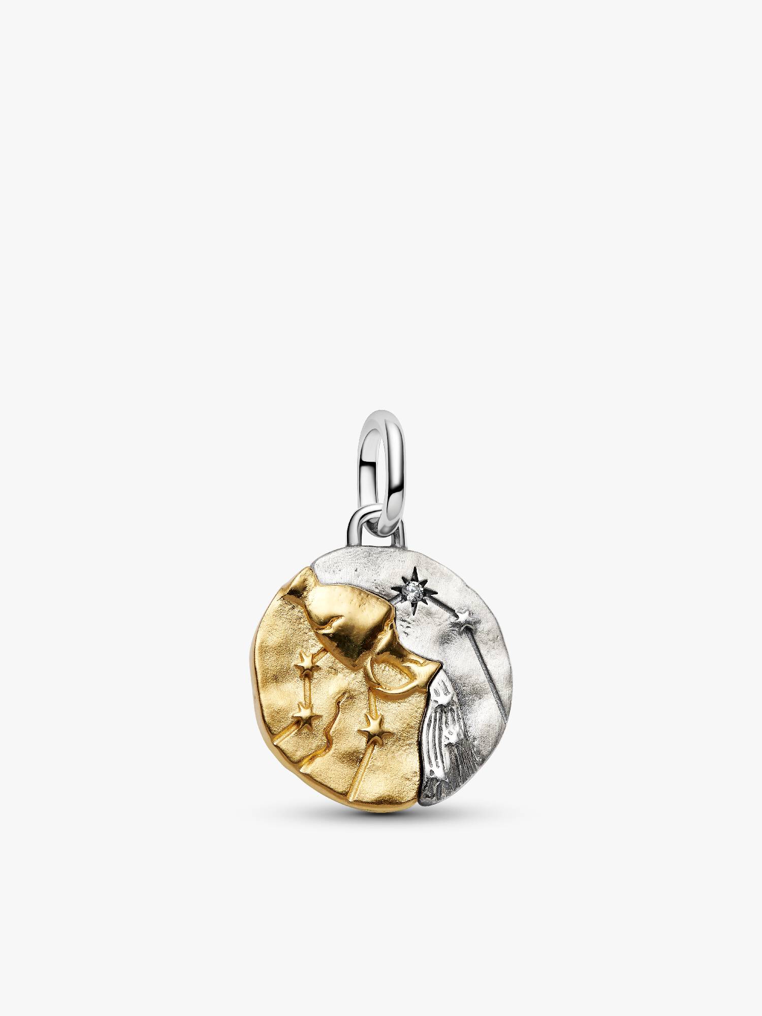 Charm Medallion Acquario