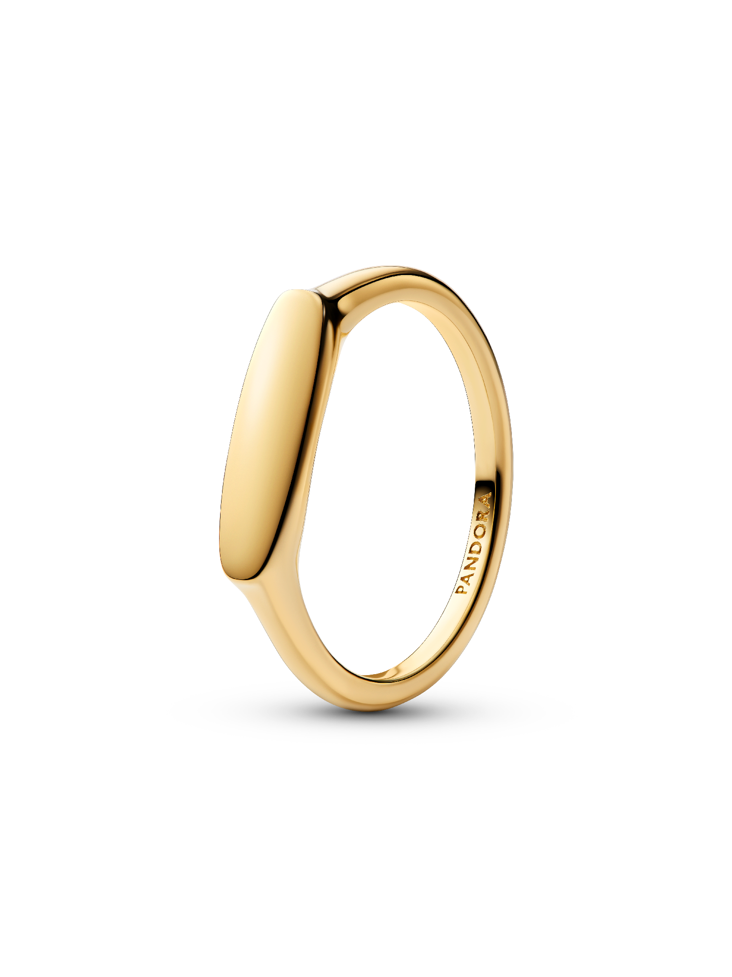 Anello Fascia con barra da incidere