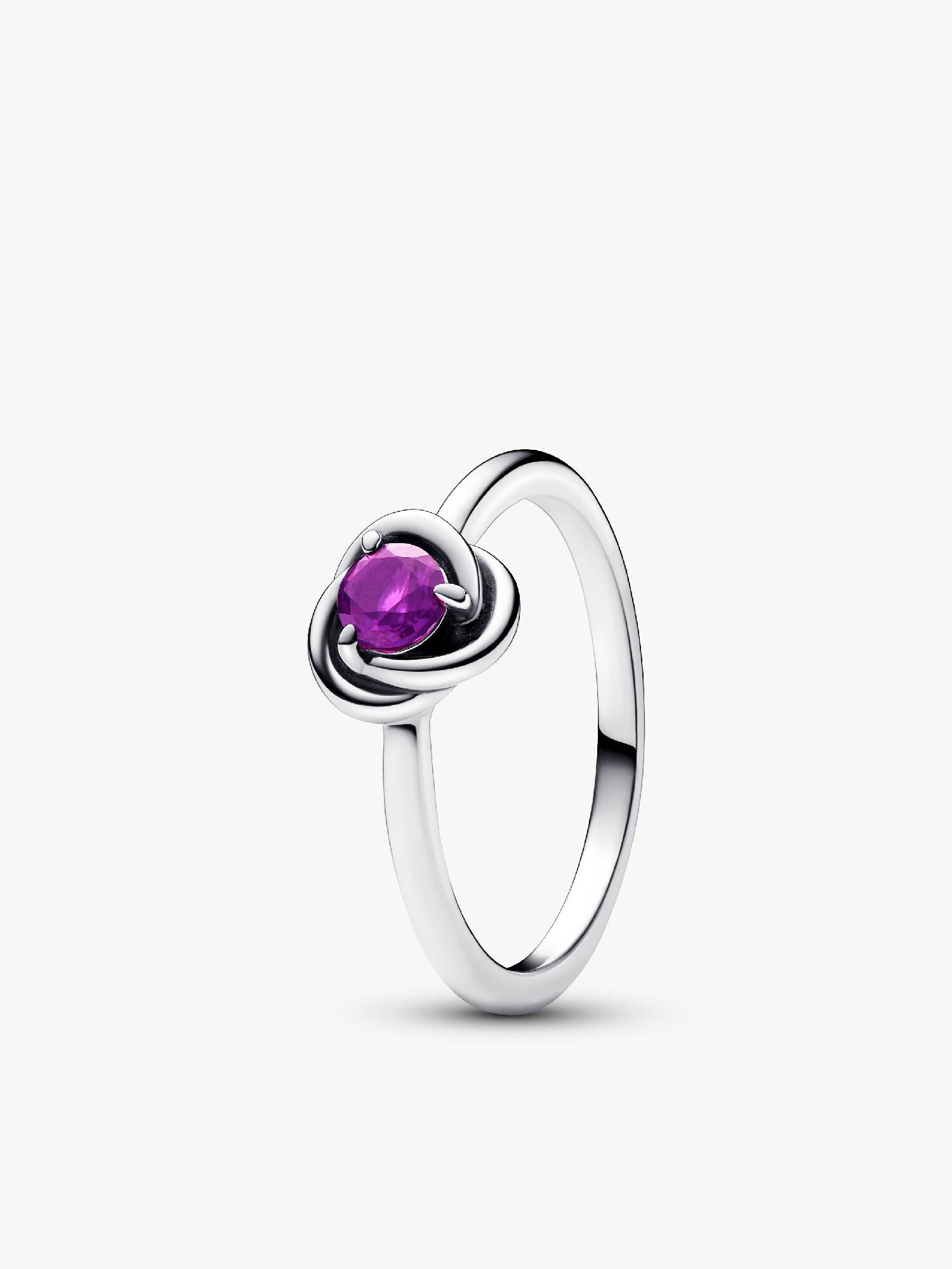 Anello Cerchio Eterno Viola Febbraio