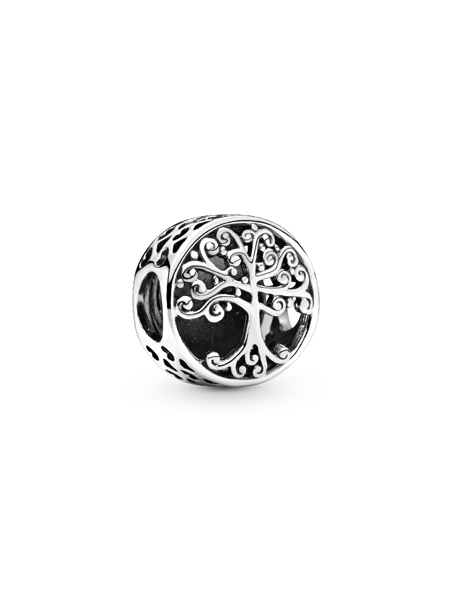 Charm Bottone Albero della Famiglia
