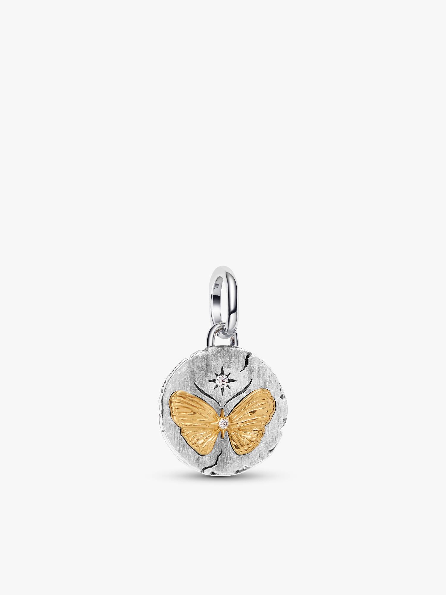 Charm Medallion Farfalla "Somniare Aude"