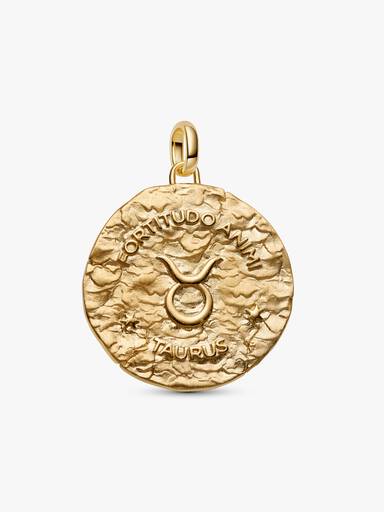Charm Medallion XL Toro "Fortitudo Animi"