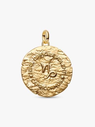 Charm Medallion XL Capricorno "Nihil Difficile Volenti"