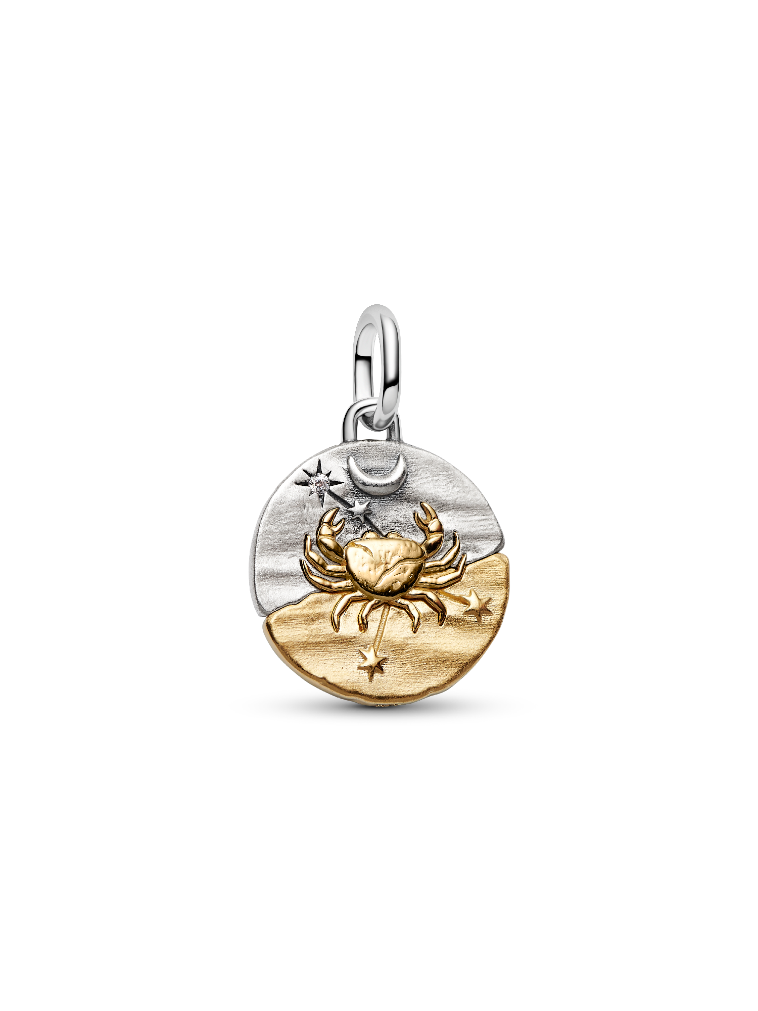 Charm Medallion Cancro