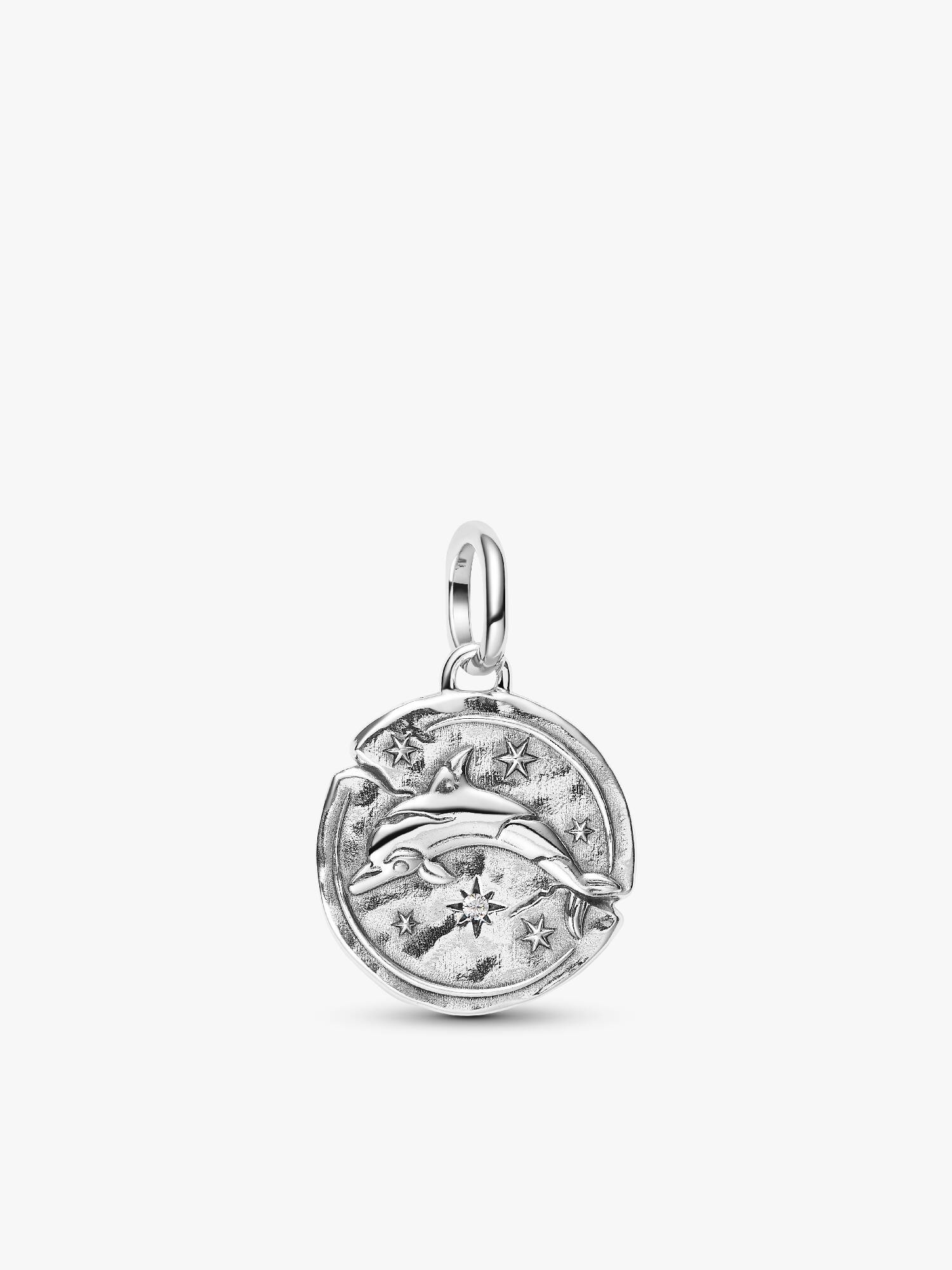 Charm Medallion Delfino "Audaces Fortuna Iuvat"