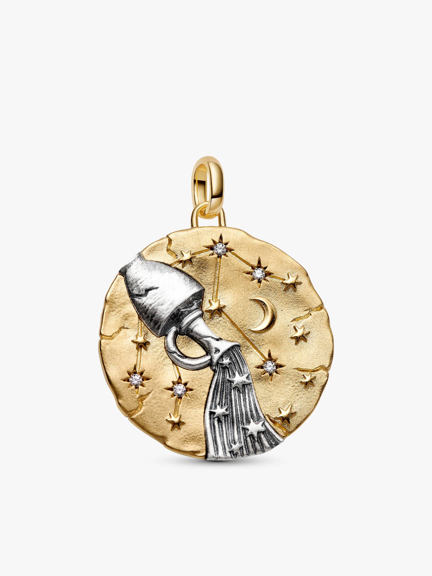 Charm Medallion XL Acquario "Omnia Mutantur"