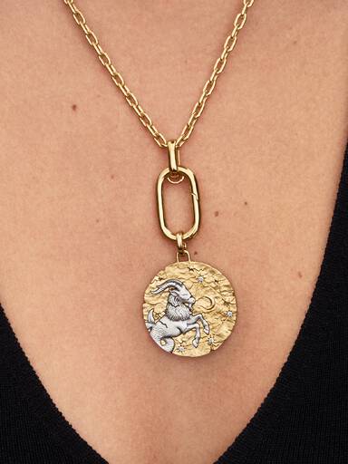 Charm Medallion XL Capricorno "Nihil Difficile Volenti"