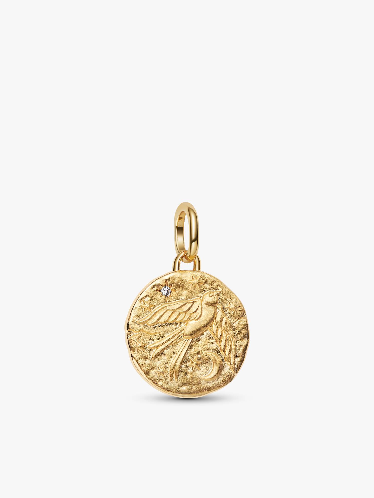 Charm Medallion Rondine "Dum Vita Est Spes Est"
