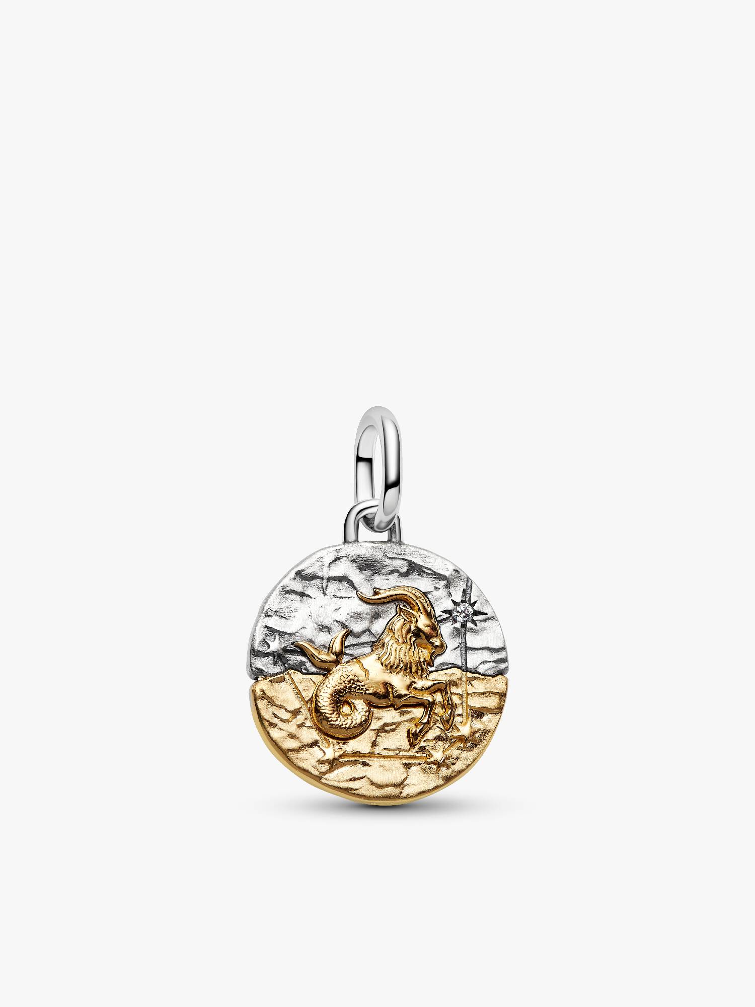 Charm Medallion Capricorno