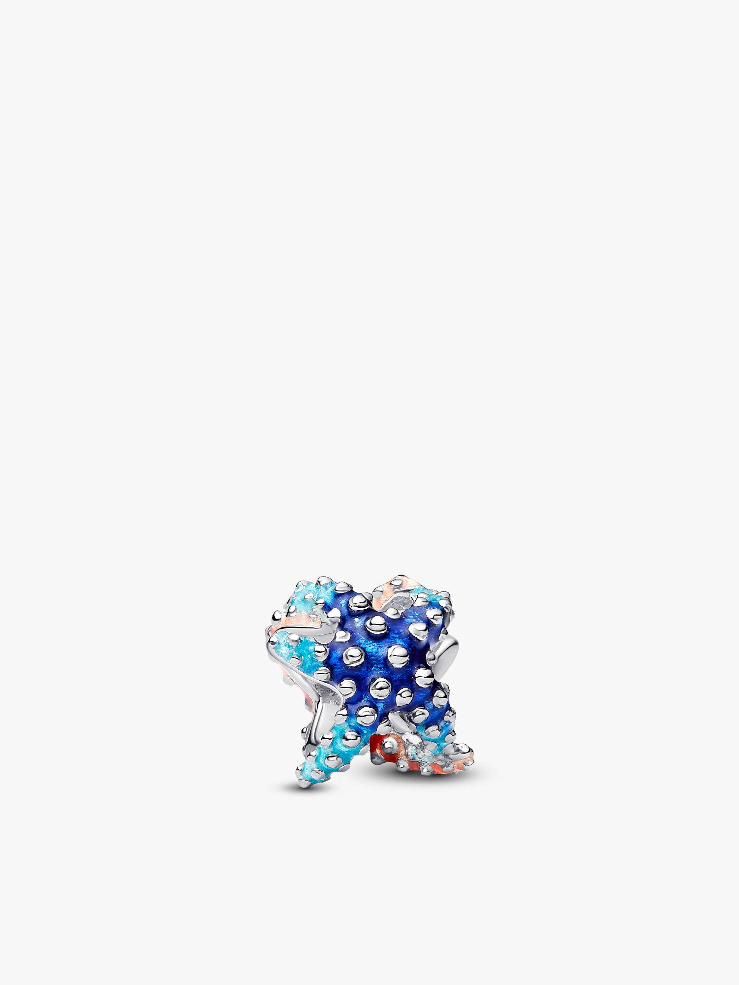Charm Stella Marina Colorata