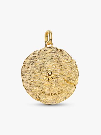 Charm Medallion Grande Frecce "Ad Meliora"