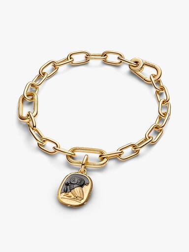 Charm Medallion Gufo "Lux Et Sapientia"