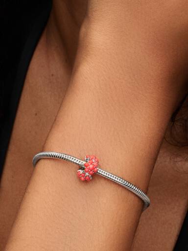Charm Oceano Color Corallo