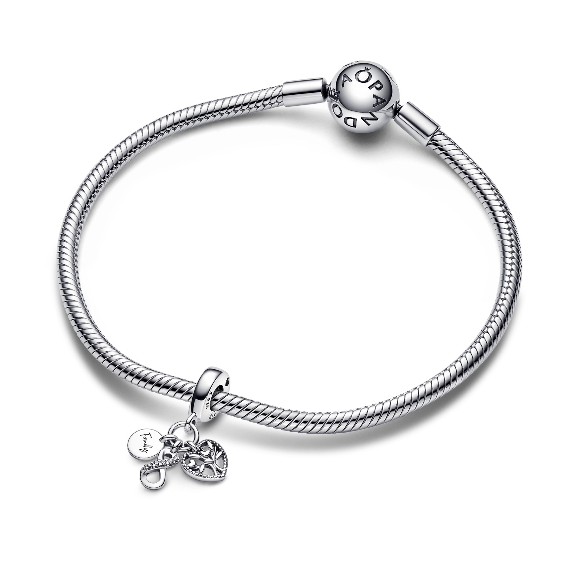 Pandora Charm Pendente Famiglia per Sempre